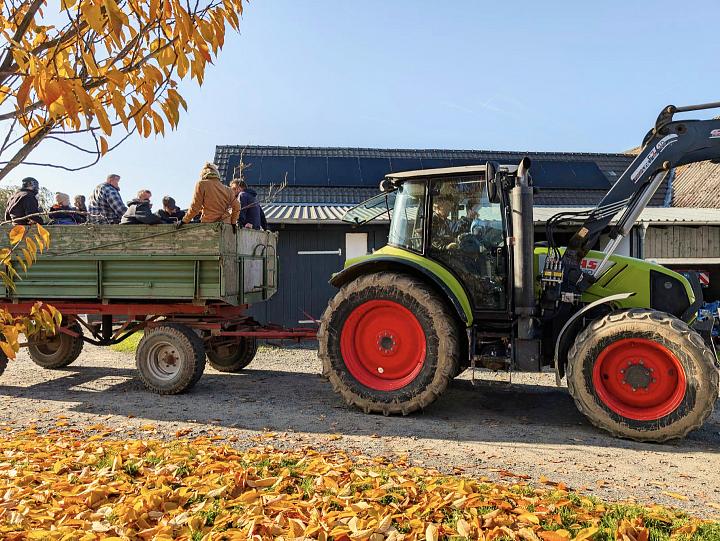 Bild: 20251129-171431-2.jpg